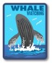 Whale Watching